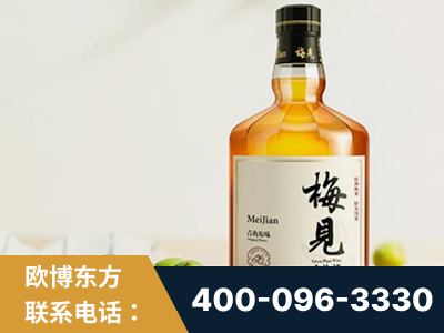 乳山-梅见青梅酒